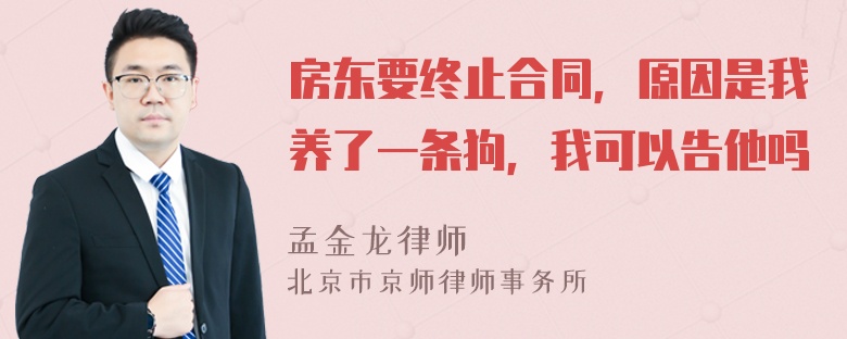 房东要终止合同，原因是我养了一条狗，我可以告他吗