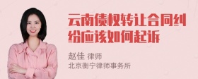 云南债权转让合同纠纷应该如何起诉