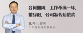 合同期内，工作不满一年，被辞退，公司怎么赔偿我