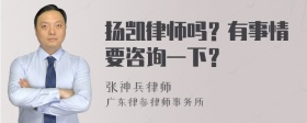 扬凯律师吗？有事情要咨询一下？