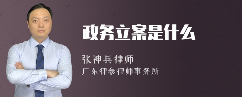 政务立案是什么