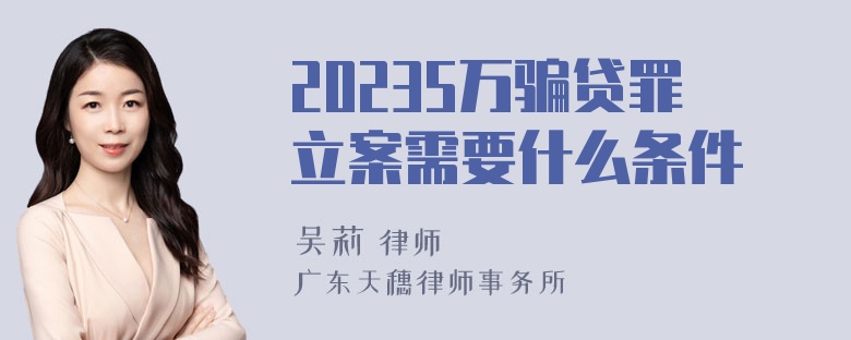 20235万骗贷罪立案需要什么条件