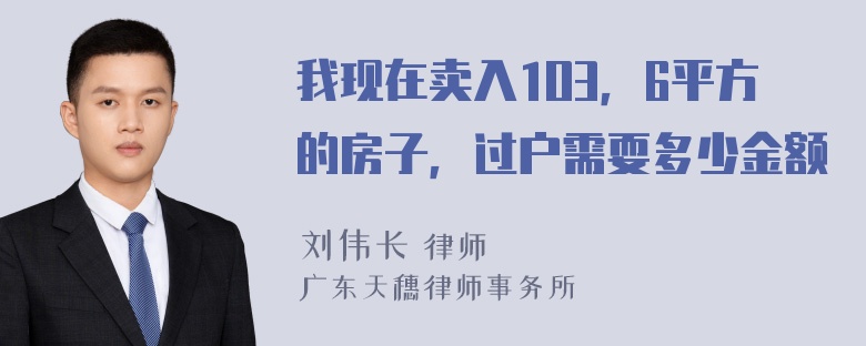 我现在卖入1O3，6平方的房子，过户需耍多少金额