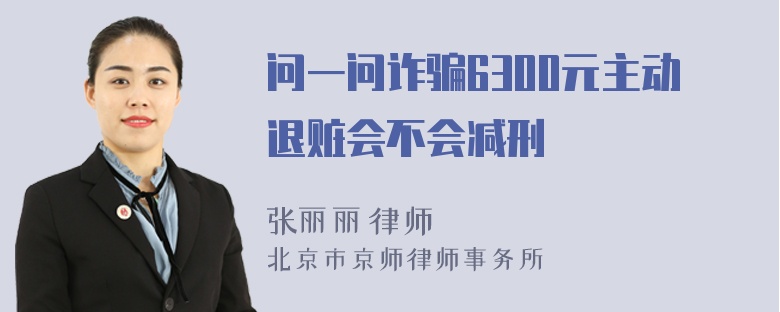 问一问诈骗6300元主动退赃会不会减刑