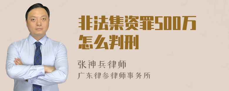 非法集资罪500万怎么判刑