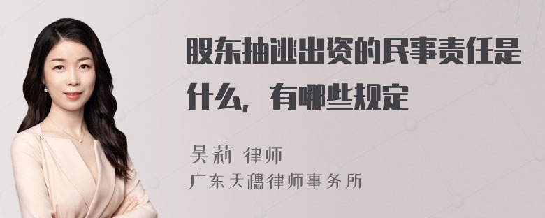 股东抽逃出资的民事责任是什么，有哪些规定