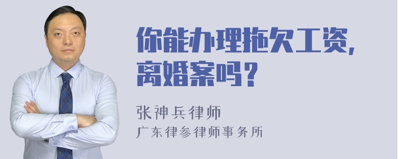 你能办理拖欠工资，离婚案吗？