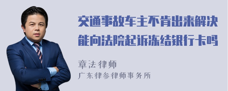 交通事故车主不肯出来解决能向法院起诉冻结银行卡吗