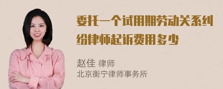 委托一个试用期劳动关系纠纷律师起诉费用多少