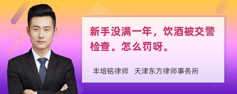 新手没满一年，饮酒被交警检查。怎么罚呀。