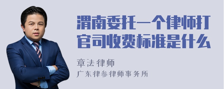 渭南委托一个律师打官司收费标准是什么