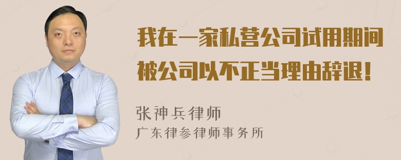 我在一家私营公司试用期间被公司以不正当理由辞退！