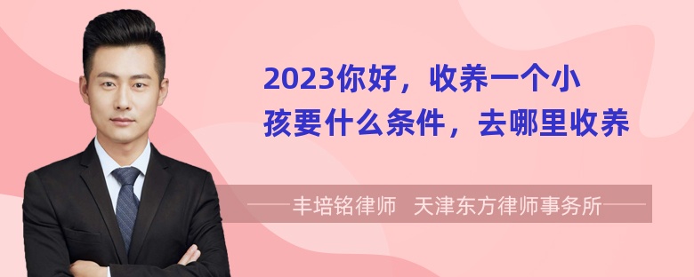 2023你好，收养一个小孩要什么条件，去哪里收养