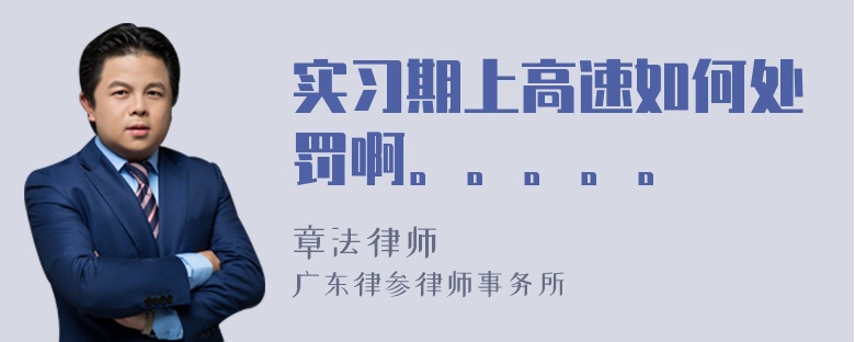 实习期上高速如何处罚啊。。。。。