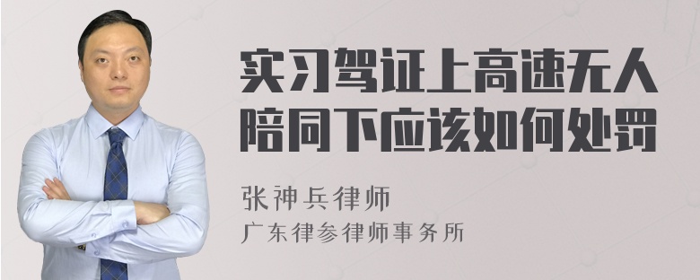 实习驾证上高速无人陪同下应该如何处罚