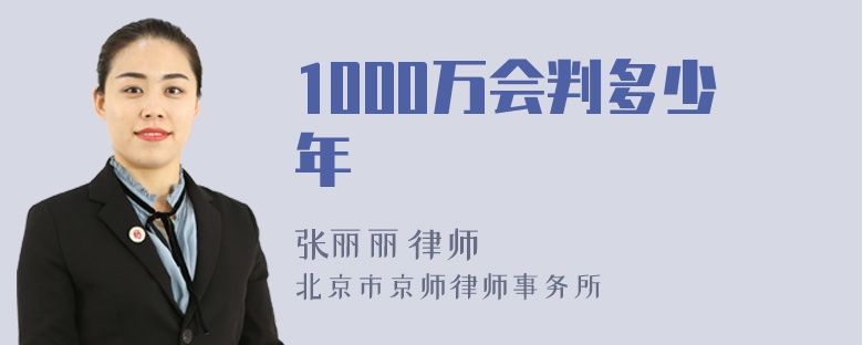 1000万会判多少年