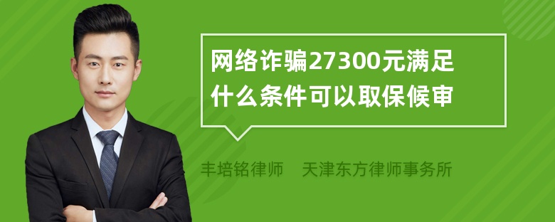 网络诈骗27300元满足什么条件可以取保候审