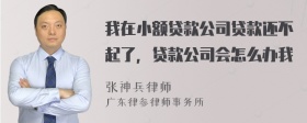 我在小额贷款公司贷款还不起了，贷款公司会怎么办我