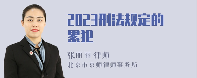 2023刑法规定的累犯