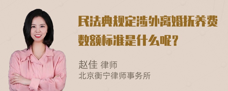 民法典规定涉外离婚抚养费数额标准是什么呢？