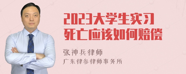 2023大学生实习死亡应该如何赔偿