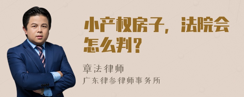 小产权房子，法院会怎么判？