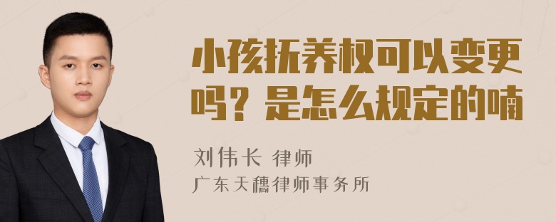 小孩抚养权可以变更吗？是怎么规定的喃