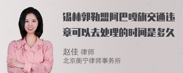 锡林郭勒盟阿巴嘎旗交通违章可以去处理的时间是多久