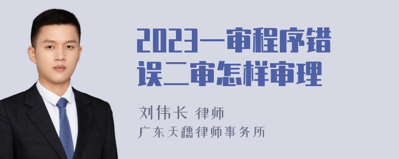 2023一审程序错误二审怎样审理