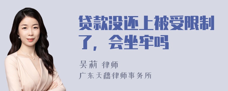 贷款没还上被受限制了，会坐牢吗