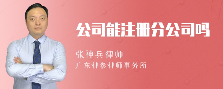 公司能注册分公司吗