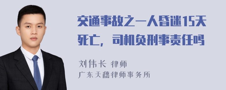 交通事故之一人昏迷15天死亡，司机负刑事责任吗