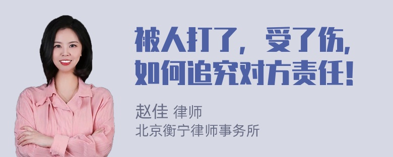 被人打了，受了伤，如何追究对方责任！