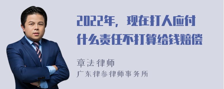 2022年，现在打人应付什么责任不打算给钱赔偿