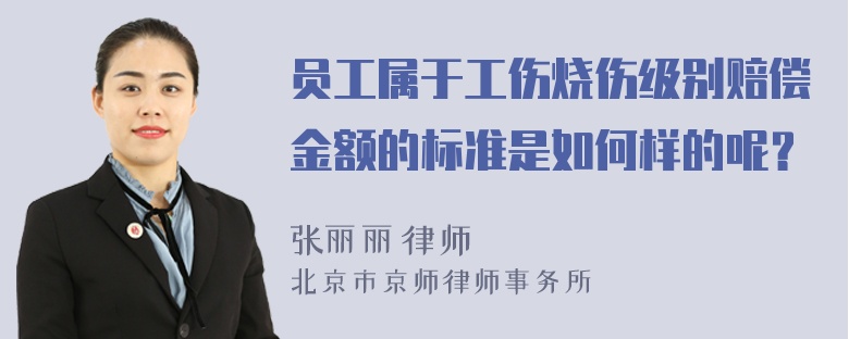 员工属于工伤烧伤级别赔偿金额的标准是如何样的呢？