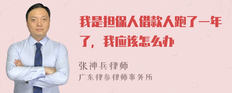 我是担保人借款人跑了一年了，我应该怎么办