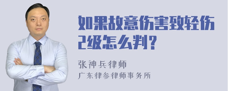 如果故意伤害致轻伤2级怎么判？