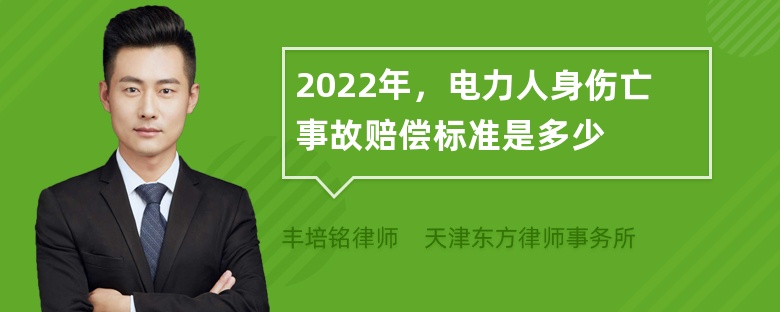 2022年，电力人身伤亡事故赔偿标准是多少