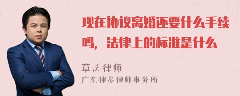 现在协议离婚还要什么手续吗，法律上的标准是什么