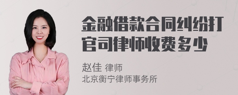 金融借款合同纠纷打官司律师收费多少