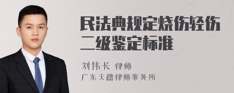 民法典规定烧伤轻伤二级鉴定标准