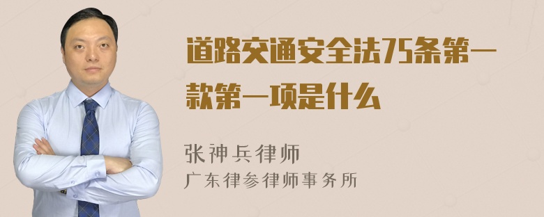 道路交通安全法75条第一款第一项是什么