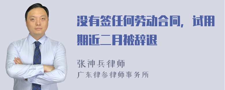 没有签任何劳动合同，试用期近二月被辞退