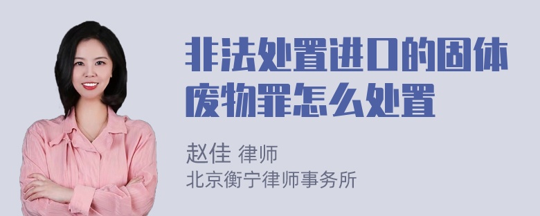 非法处置进口的固体废物罪怎么处置