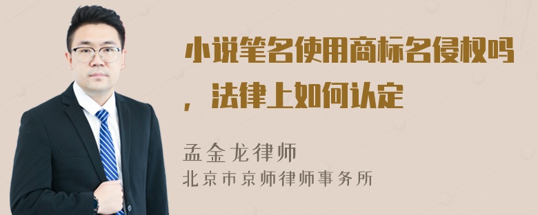 小说笔名使用商标名侵权吗，法律上如何认定