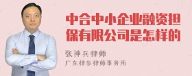 中合中小企业融资担保有限公司是怎样的