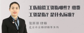 工伤赔偿工资指哪些？缴费工资是指？是什么标准？