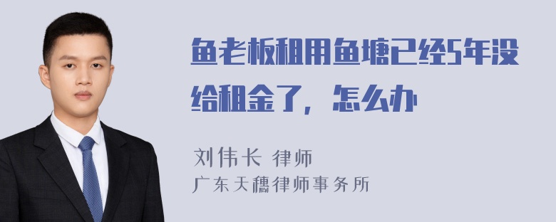 鱼老板租用鱼塘已经5年没给租金了，怎么办