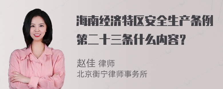 海南经济特区安全生产条例第二十三条什么内容？