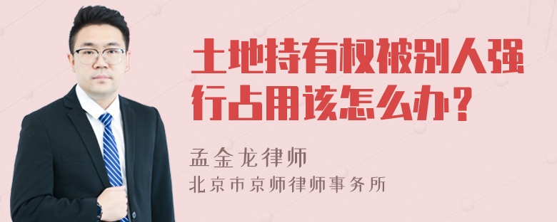 土地持有权被别人强行占用该怎么办？